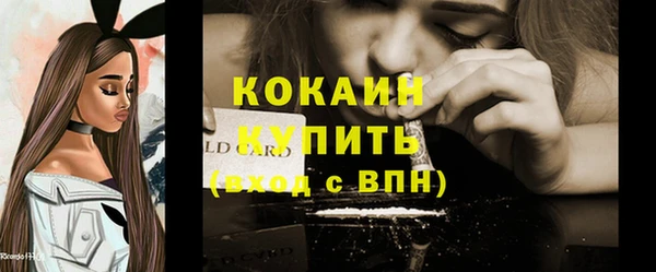 apvp Пестово