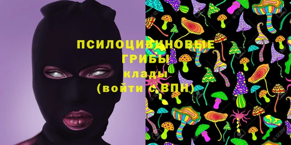 apvp Пестово