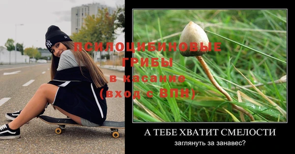 apvp Пестово